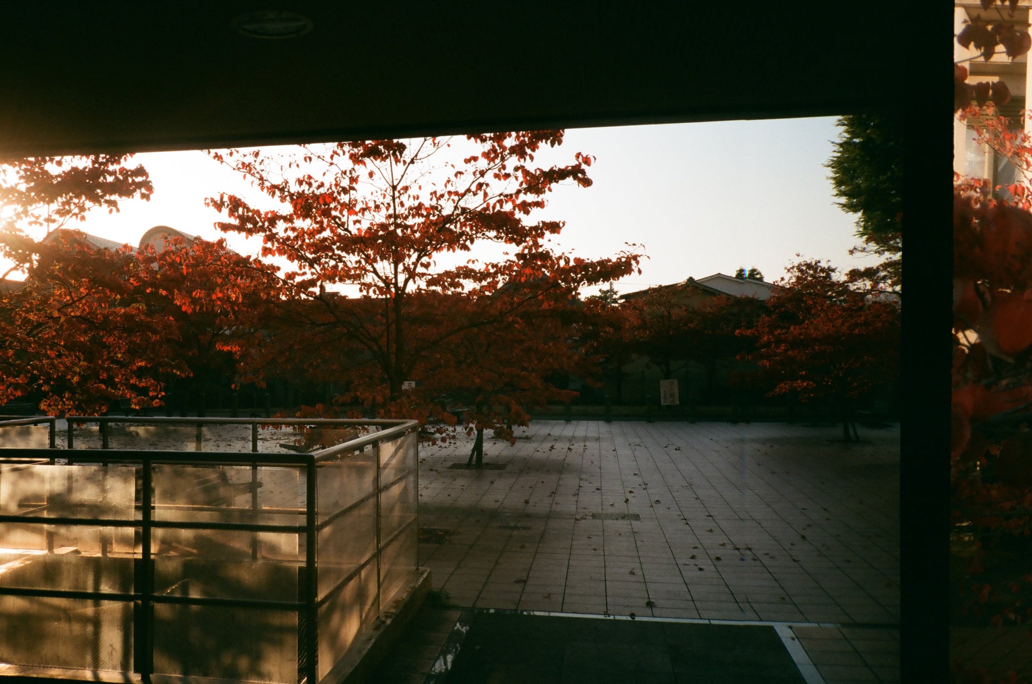 A scenic photograph of autumn trees with vibrant orange and red leaves, viewed from a dark window or doorway over a paved courtyard.